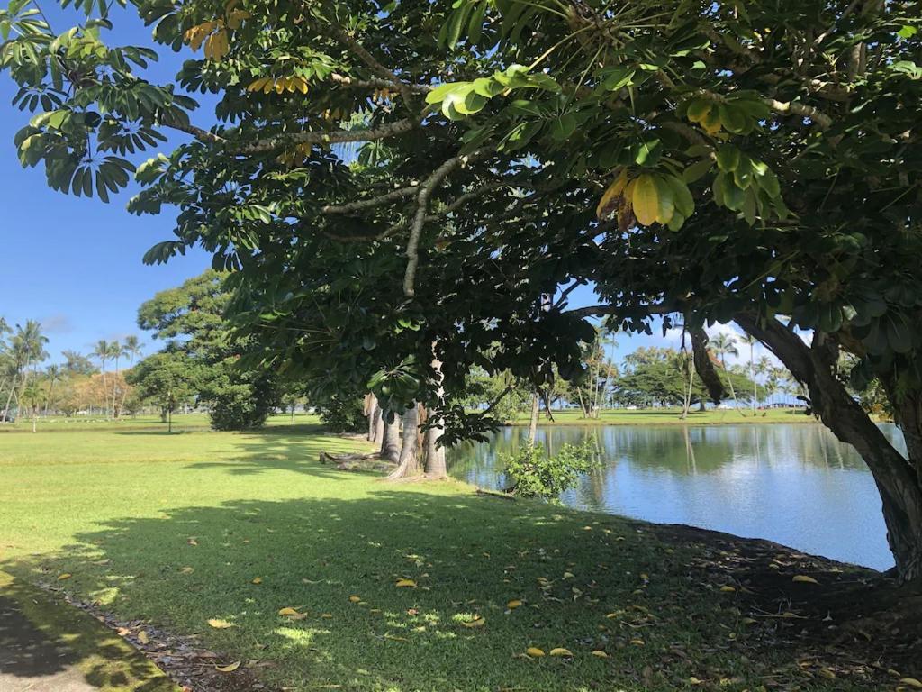 Stunning Views Best Location In Hilo 2Br Modern Condo Buitenkant foto